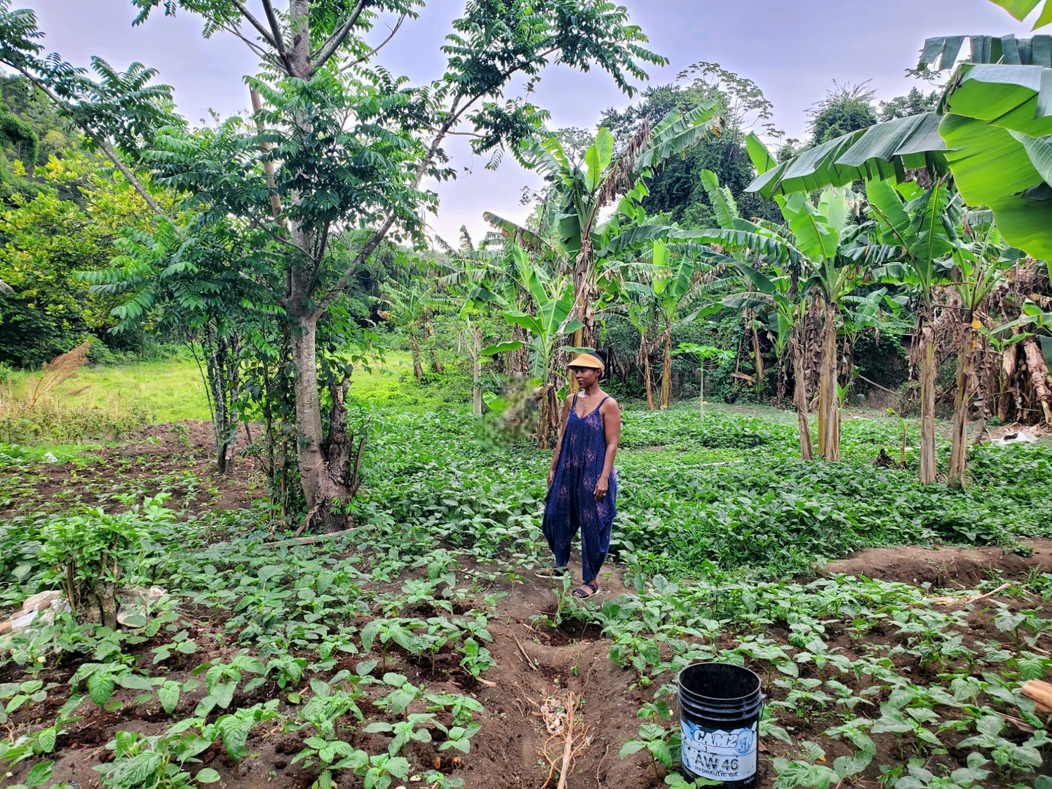 Farm to Bottle: Our Commitment to Sustainability