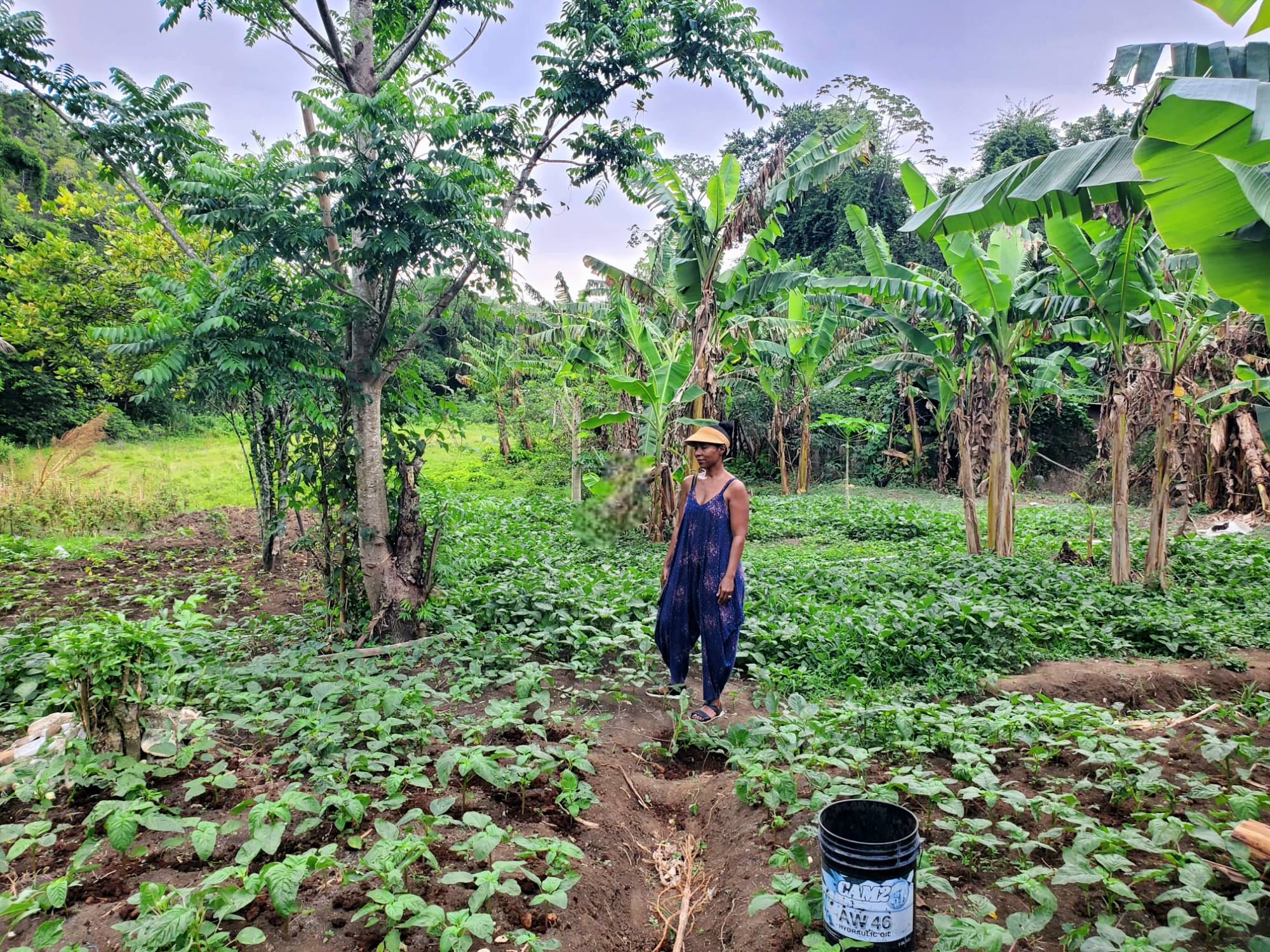 Farm to Bottle: Our Commitment to Sustainability